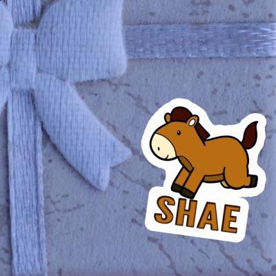 Horse Sticker Shae Notebook Image