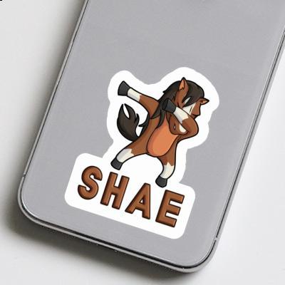 Cheval Autocollant Shae Gift package Image