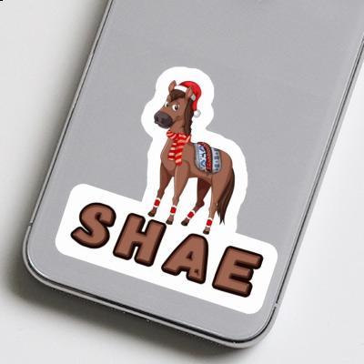 Shae Sticker Horse Laptop Image