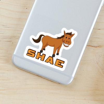 Sticker Shae Horse Laptop Image