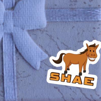 Sticker Shae Horse Gift package Image