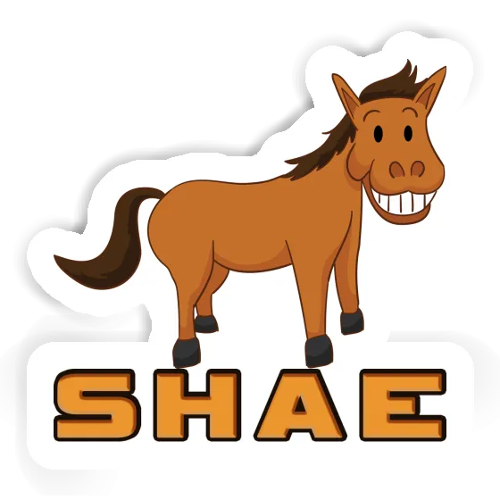 Sticker Shae Horse Gift package Image