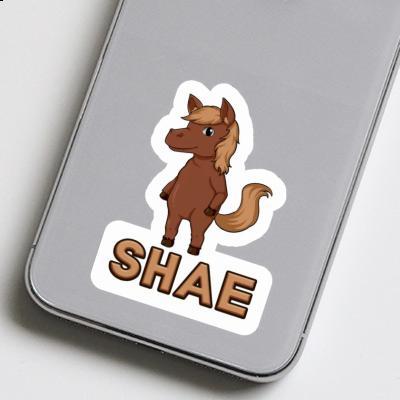 Sticker Shae Horse Notebook Image