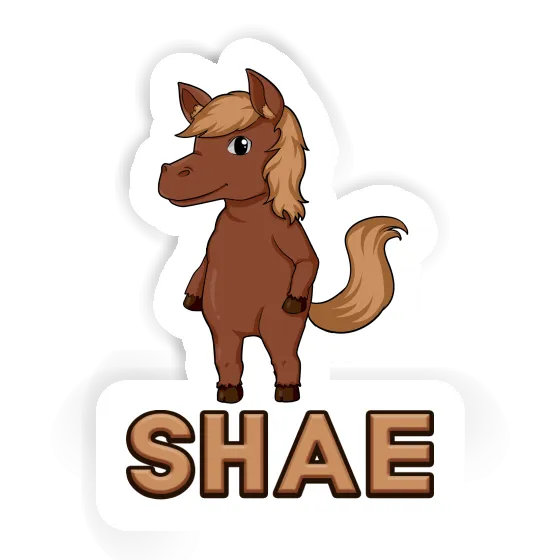 Sticker Shae Horse Laptop Image