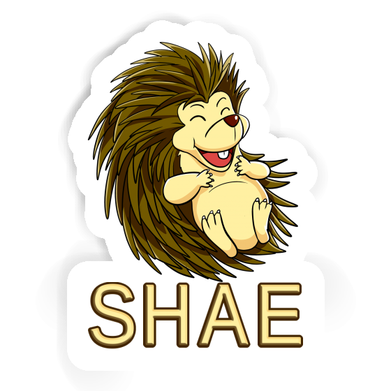 Sticker Hedgehog Shae Gift package Image