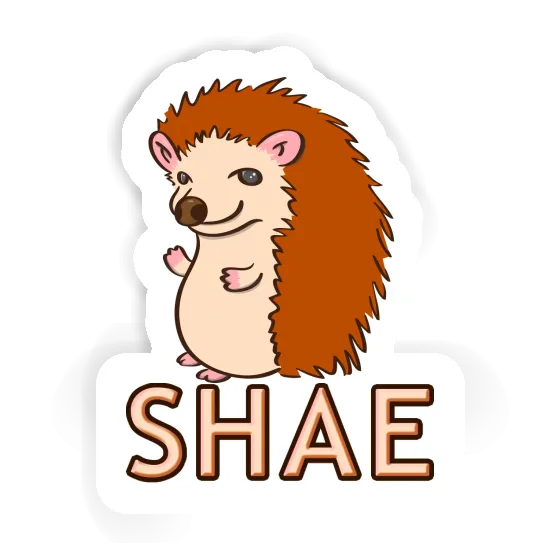 Sticker Hedgehog Shae Laptop Image