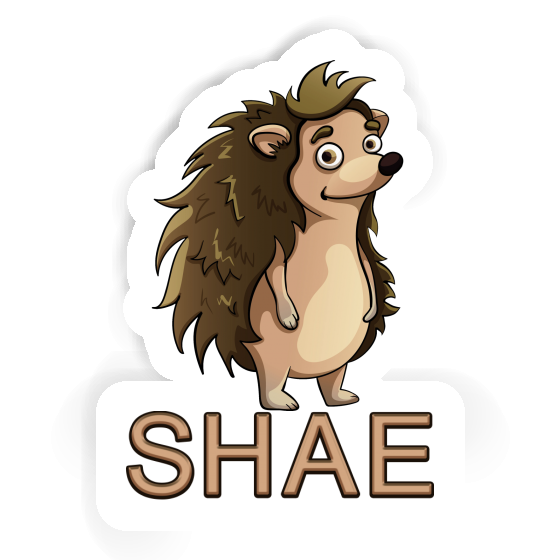 Sticker Shae Igel Gift package Image