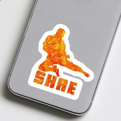 Shae Sticker Karateka Laptop Image