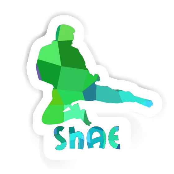 Sticker Karateka Shae Image