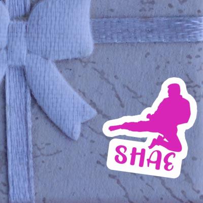 Karateka Sticker Shae Laptop Image