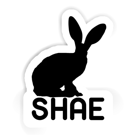 Shae Sticker Rabbit Laptop Image