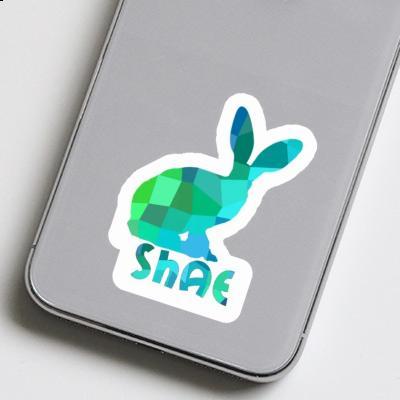 Sticker Rabbit Shae Gift package Image