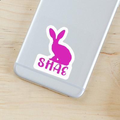 Sticker Rabbit Shae Gift package Image