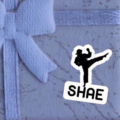 Sticker Karateka Shae Notebook Image