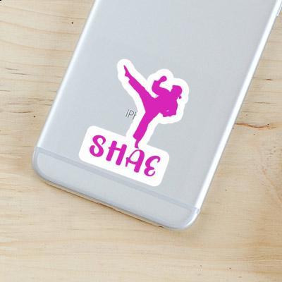 Sticker Karateka Shae Gift package Image