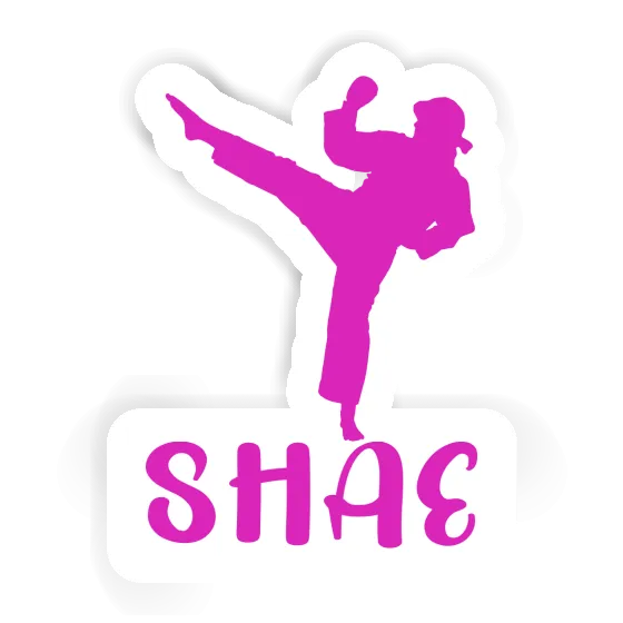 Sticker Karateka Shae Gift package Image