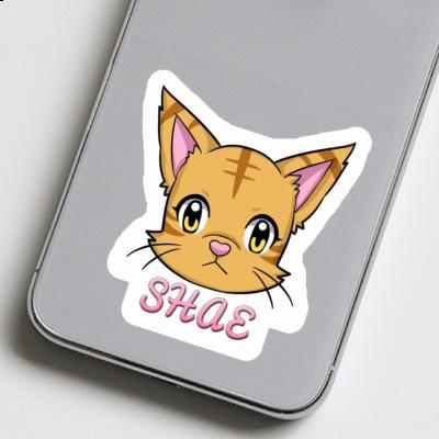 Sticker Shae Katze Laptop Image