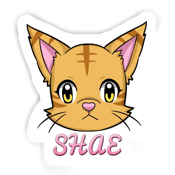 Cathead Sticker Shae Gift package Image