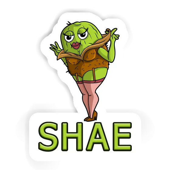 Sticker Kiwi Shae Image