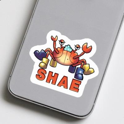 Shae Sticker Crab Gift package Image