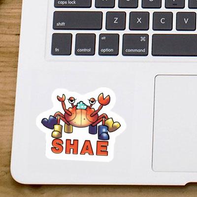 Shae Sticker Crab Gift package Image