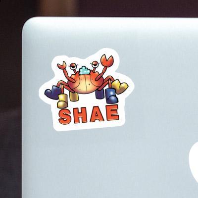 Shae Sticker Crab Image