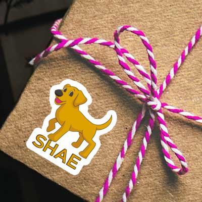 Dog Sticker Shae Laptop Image