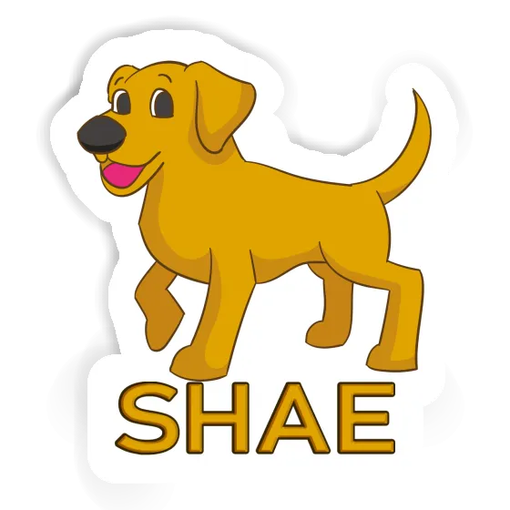 Dog Sticker Shae Gift package Image