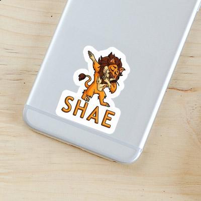 Sticker Lion Shae Gift package Image