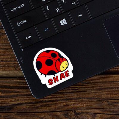 Sticker Shae Ladybug Laptop Image