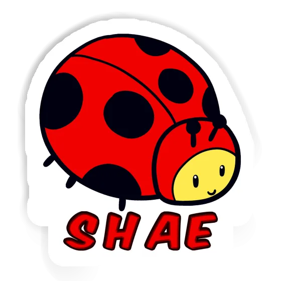 Sticker Shae Ladybug Image