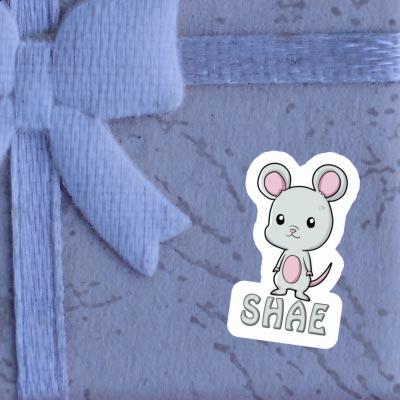 Sticker Mouse Shae Gift package Image