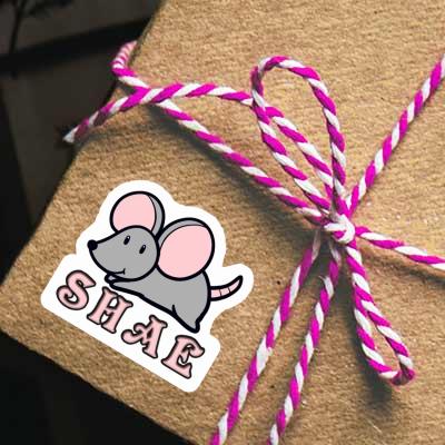 Aufkleber Maus Shae Gift package Image