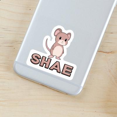 Mice Sticker Shae Gift package Image