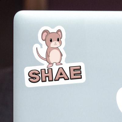 Mice Sticker Shae Gift package Image