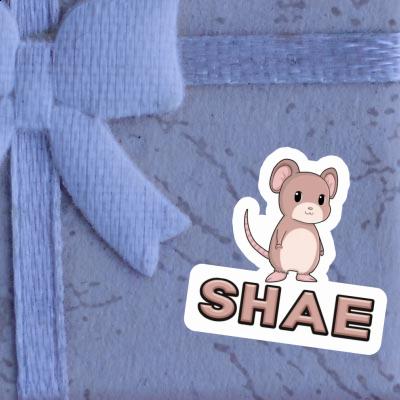 Mice Sticker Shae Gift package Image