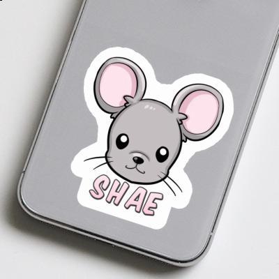 Autocollant Tête de souris Shae Image