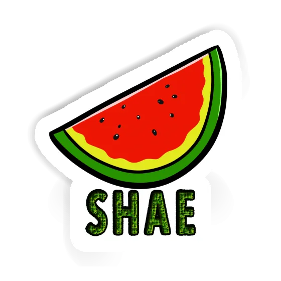 Sticker Melone Shae Laptop Image