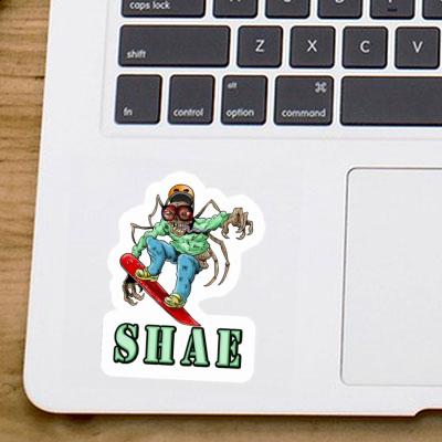 Snowboarder Sticker Shae Image