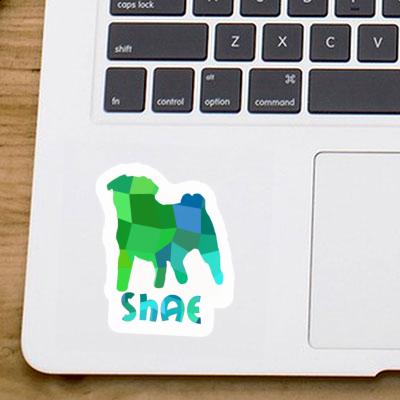 Pug Sticker Shae Gift package Image