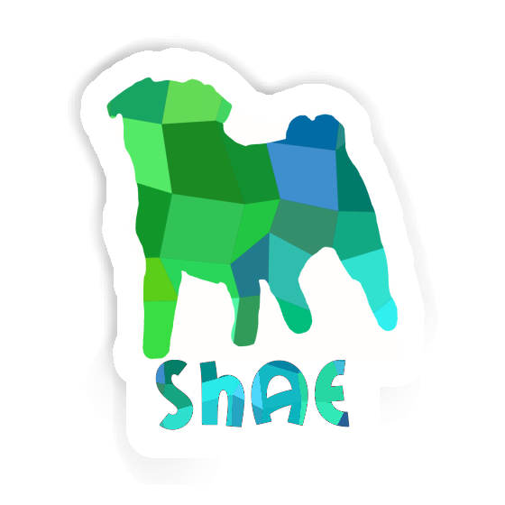 Pug Sticker Shae Image