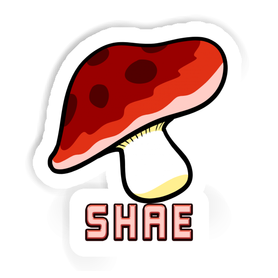 Shae Sticker Toadstool Image