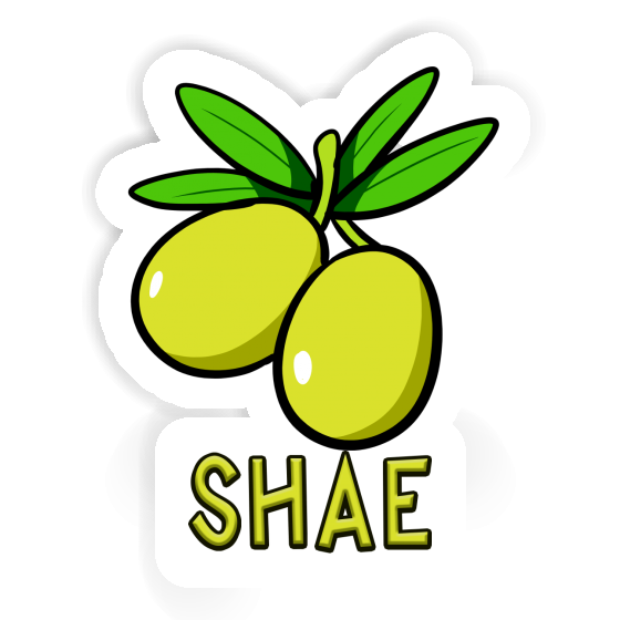 Sticker Shae Olive Laptop Image