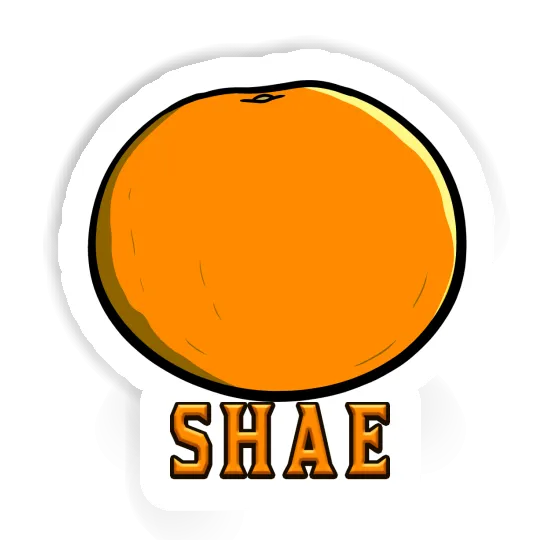 Orange Sticker Shae Image