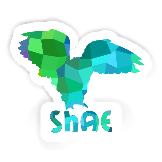 Owl Sticker Shae Image