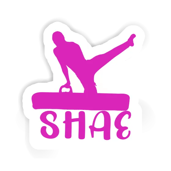 Gymnast Sticker Shae Gift package Image