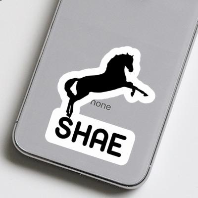 Horse Sticker Shae Image