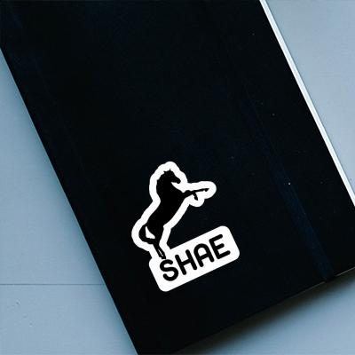 Horse Sticker Shae Notebook Image