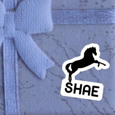 Shae Sticker Pferd Gift package Image