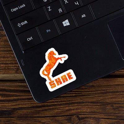 Shae Sticker Horse Image